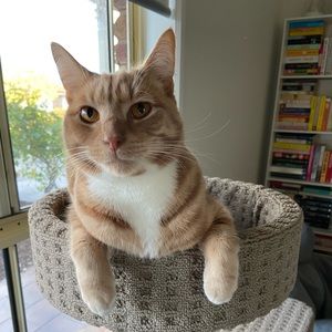 Meet your Posher, Alexandra